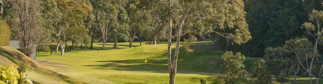 Course photograph of Lane Cove Golf Club — Temporary Nine